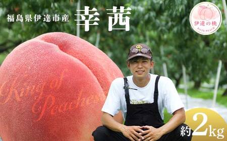 【2026年出荷分先行予約】福島県産 幸茜 約2kg (6～8玉) KING OF PEACHESS キングオブピーチ さちあかね 伊達の桃 桃 フルーツ 果物 もも モモ momo F21C-141