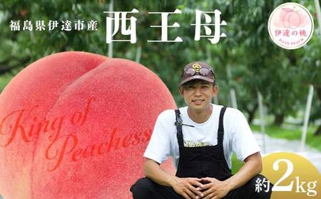 【2026年出荷分先行予約】福島県産 西王母 約2kg (6～8玉) KING OF PEACHESS キングオブピーチ 伊達の桃 桃 フルーツ 果物 もも モモ momo F21C-143