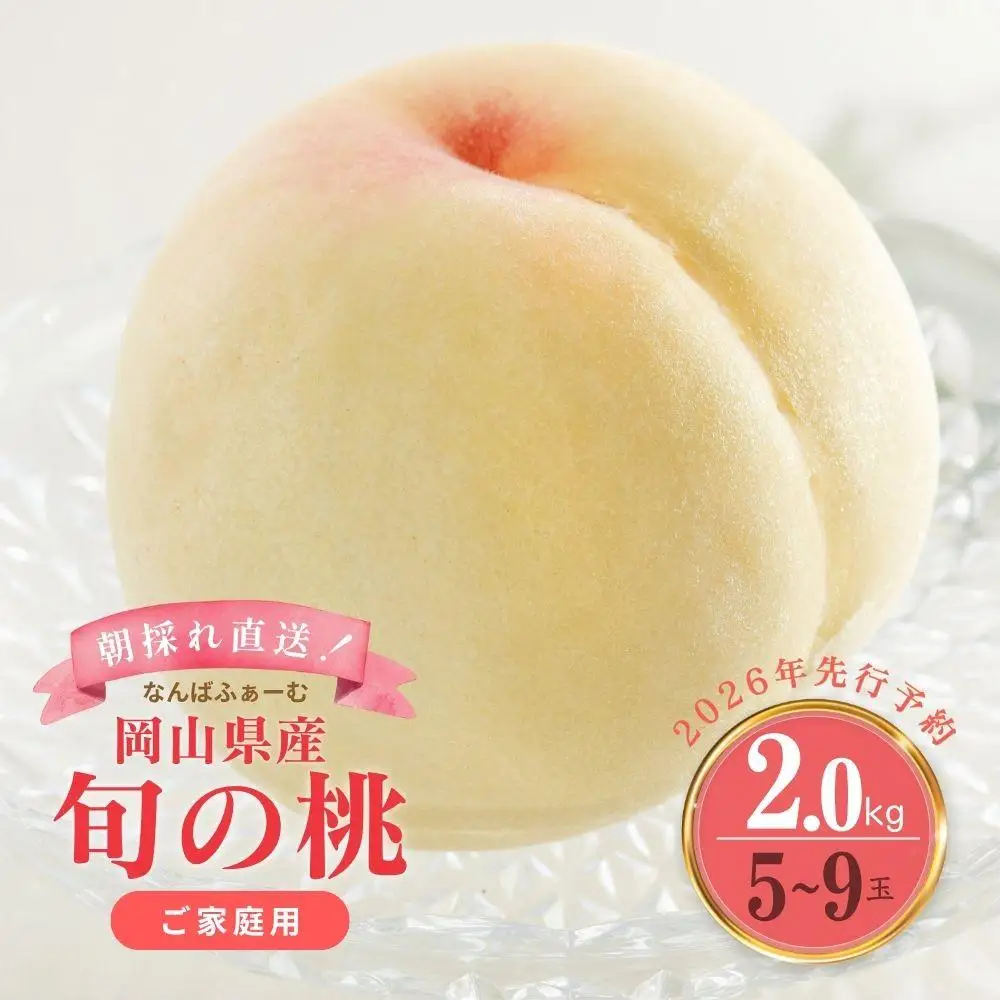 ＜数量限定＞［なんばふぁーむ］岡山県産 旬の桃 2.0kg（5～9玉）［ご家庭用］【2026年発送】