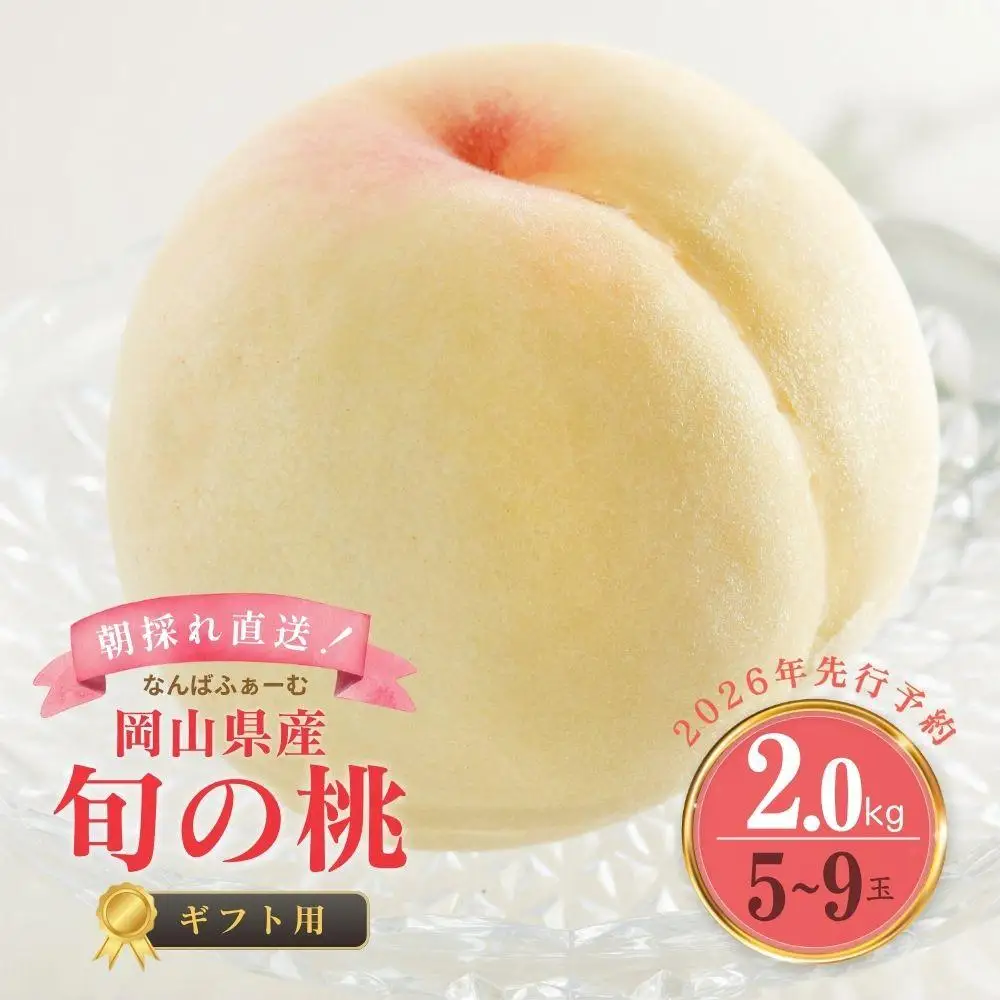 ＜数量限定＞［なんばふぁーむ］岡山県産 旬の桃 2.0kg（5～9玉）[ギフト用]【2026年発送】039-a004