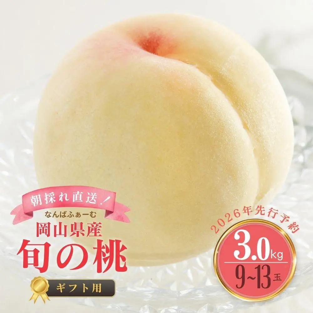 ＜数量限定＞［なんばふぁーむ］岡山県産 旬の桃 3.0kg（9～13玉）[ギフト用]【2026年発送】 039-a005