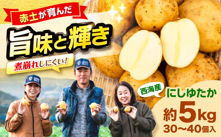 【先行受付】長崎県産 じゃがいも にしゆたか 5kg CGM001 ジャガイモ