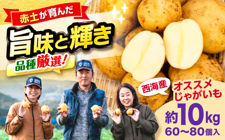 【先行予約】じゃがいも 10kg CGM004 じゃがいも