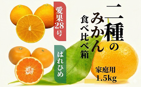 【2026年12月頃から順次発送】二種のみかん食べ比べ箱 【愛果 28 号・はれひめ】 約 1.5kg 家庭用 みかん 蜜柑 柑橘 果物 くだもの フルーツ お取り寄せ グルメ 期間限定 数量限定 人気 おすすめ 愛媛県 松山市 【PT0411】