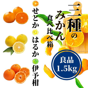 《2027年2月上旬頃から順次発送》【三種のみかん食べ比べ箱】 せとか・はるか・伊予柑 （良品）約1.5kg | 愛媛 みかん 蜜柑 柑橘 果物 くだもの フルーツ お取り寄せ グルメ 期間限定 数量限定 人気 おすすめ 愛媛県 松山市 【PT044】