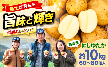 【先行予約】じゃがいも にしゆたか 10kg CGM002 じゃがいも