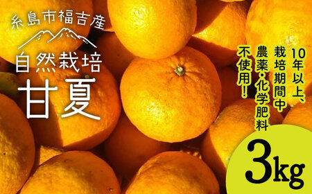 甘夏 3kg 【栽培期間中農薬・化学肥料不使用】 糸島市 / 大石ファーム [ATE043]