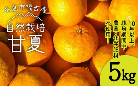 甘夏 5kg 【栽培期間中農薬・化学肥料不使用】 糸島市 / 大石ファーム [ATE044]