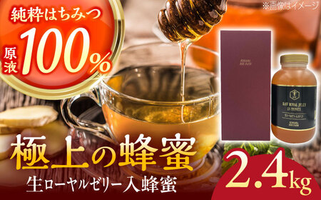 蜂蜜 コハマのハチミツ 生ローヤルゼリー入蜂蜜 2.4kg×1本   BCAQ007