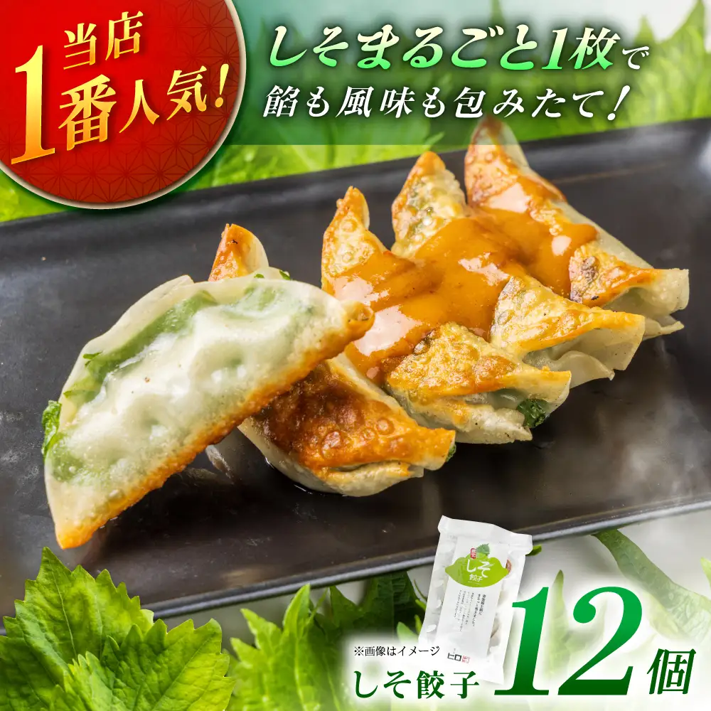 【1パック】餃子屋ヒロの しそ餃子  [BDAS003-1] 