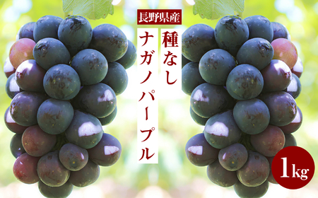 皮ごと OK! 長野県産 種なし ナガノパープル 約1kg 秀品 〈2026年8月下旬～10月上旬発送〉| 長野県 飯田市
