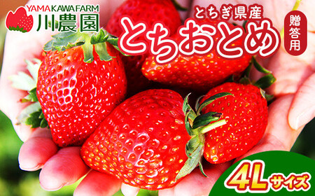 とちおとめ 320g×2パック 4Lサイズ ｜ いちご 苺 イチゴ 贈答 フルーツ 果物 国産 平積み ※2027年1月～発送
