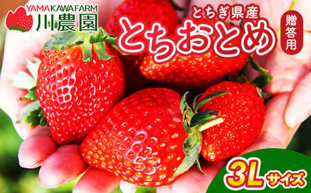 とちおとめ 320g×2パック 3Lサイズ ｜ いちご 苺 イチゴ 贈答 フルーツ 果物 国産 平積み ※2027年1月～発送