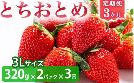 ＜いちご3か月定期便＞栃木県産とちおとめ 320g×2パック 3Lサイズ 3回 | 栃木県 壬生町 いちご 苺 イチゴ とちおとめ フルーツ 果物 新鮮 平積み 産地直送 2027年1月 2月 3月 ※2027年1月～発送