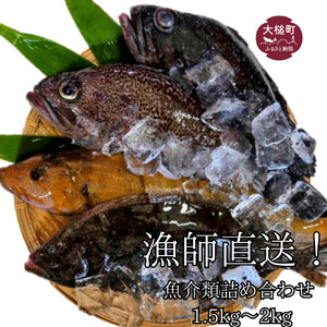 【期間限定1月～3月発送】漁師直送！お任せ魚介類の詰め合わせ 1.5kg～2kg 【オリジナルクリアファイル付き】