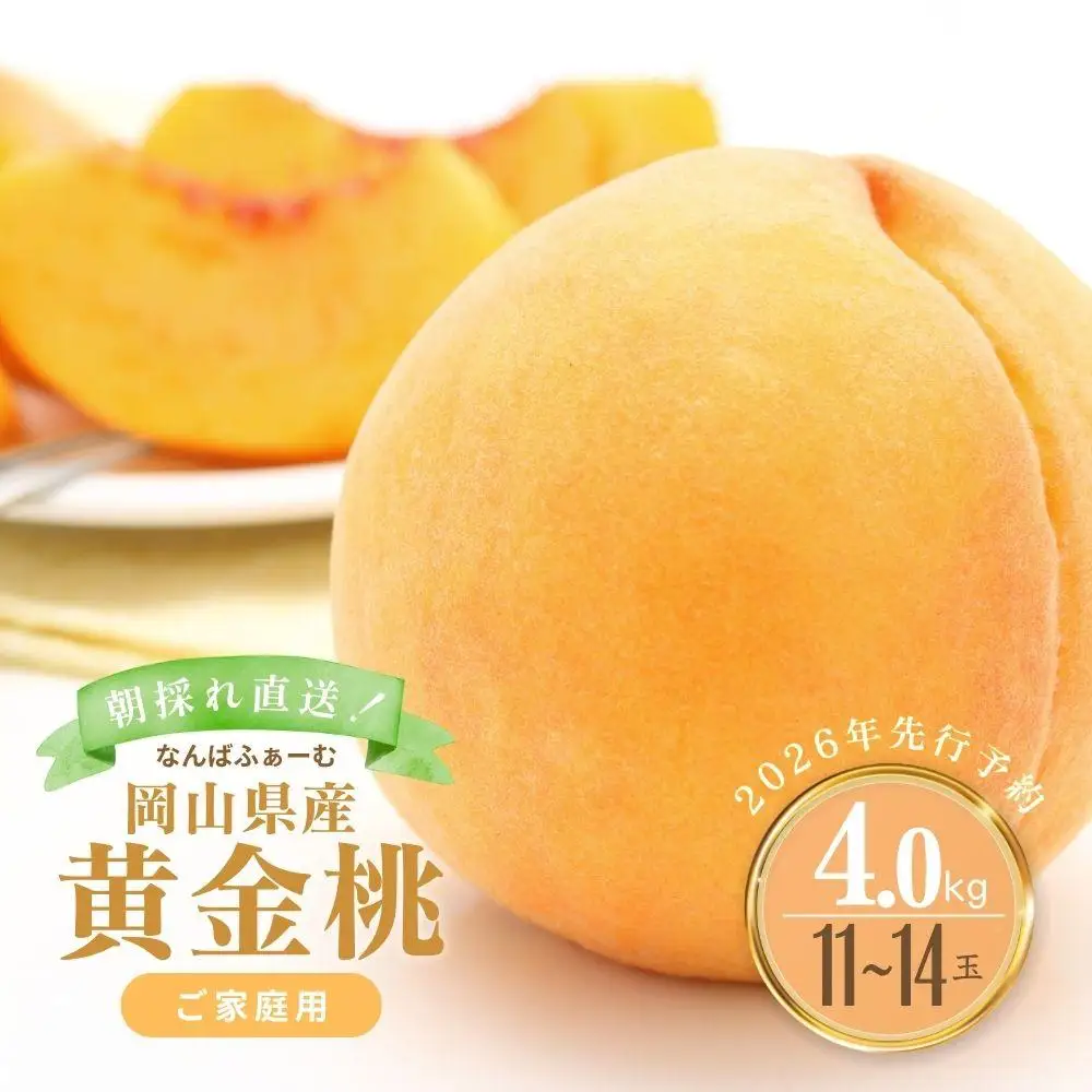 【2026年先行予約】［なんばふぁーむ］岡山県産 黄金桃 4.0kg（11～14玉）［ご家庭用］|