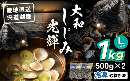 しじみ 産地直送！宍道湖産 冷凍大和しじみLサイズ1kg(500g×2) 砂抜き処理済 島根県松江市/りすたむmatsue[ALDE006] しじみ しじみ
