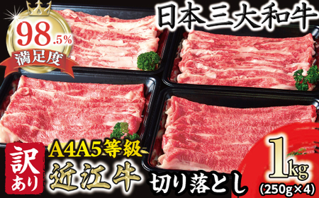近江牛 切り落とし 1kg (250g×4) 【FO68W】 牛肉 切り落とし 近江牛 訳あり