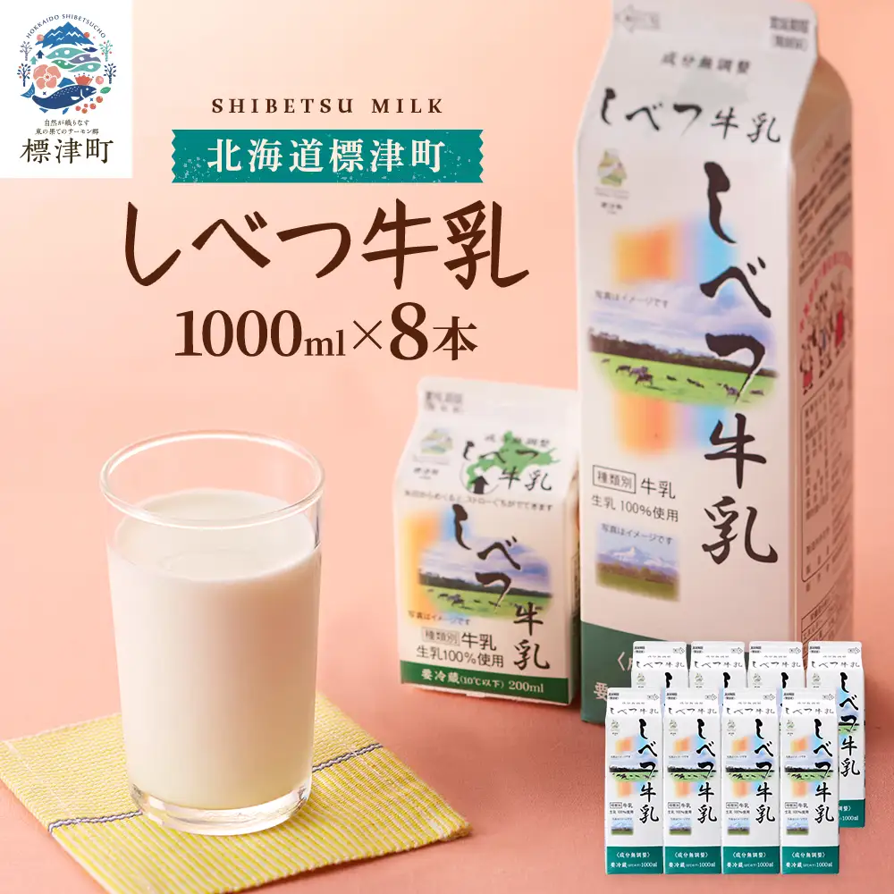 しべつ牛乳1L×8本 北海道 パックミルク 牛乳【配送不可地域：離島】【AE003】