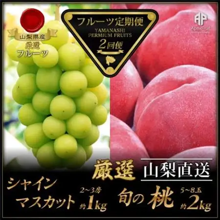 【発送月固定定期便】フルーツ定期便全2回【配送不可地域：離島・沖縄県】【4066752】