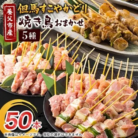 焼き鳥セット おまかせ5種盛り合わせ(もも・ももねぎ・生皮・ハラミなど)50本【配送不可地域：離島】【1615123】