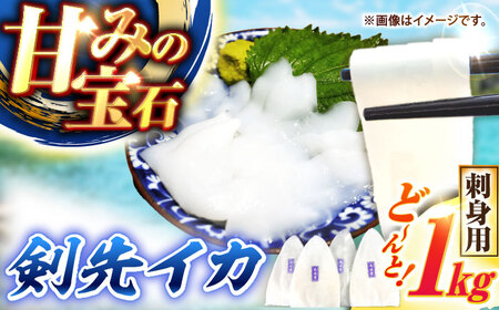 【お中元】剣先イカ 刺身用 1kg [JCC021] イカ刺し