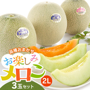 【令和8年産先行予約】 お楽しみメロン 3玉セット 2Lサイズ 山形県庄内産 アンデスメロン・鶴姫メロン・鶴姫レッドメロン の中から3玉お届け 食べ比べ　JA鶴岡 K-836
