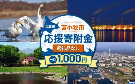 北海道 苫小牧市 応援寄附金 （ 返礼品なし ） 1,000円 T000-001-01 応援 返礼品無