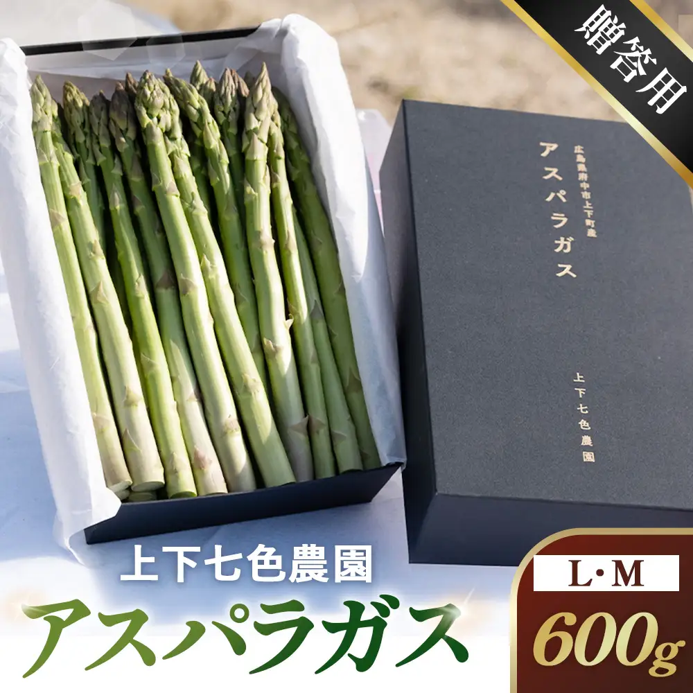 上下七色農園贈答用アスパラガス　L・Ｍサイズ　貼箱（600g） No.1090