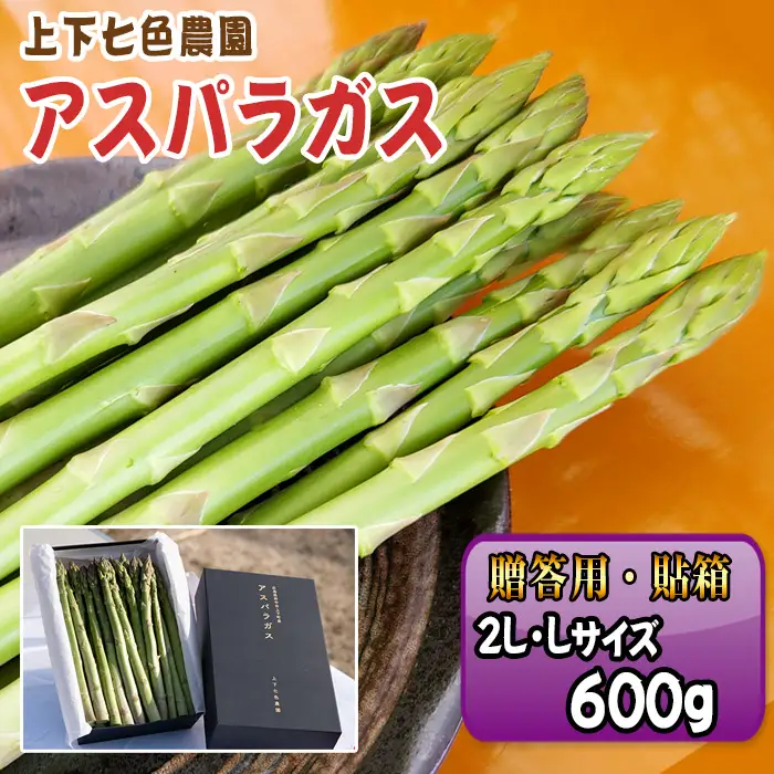 上下七色農園贈答用アスパラガス　2L・Lサイズ　貼箱（600g） No.1093