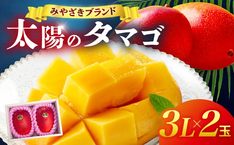 宮崎県産 太陽のタマゴ 3L×2玉_b0958_ww