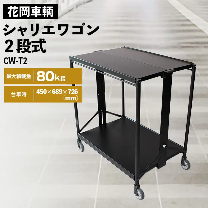 シャリエワゴン2段式 No.532