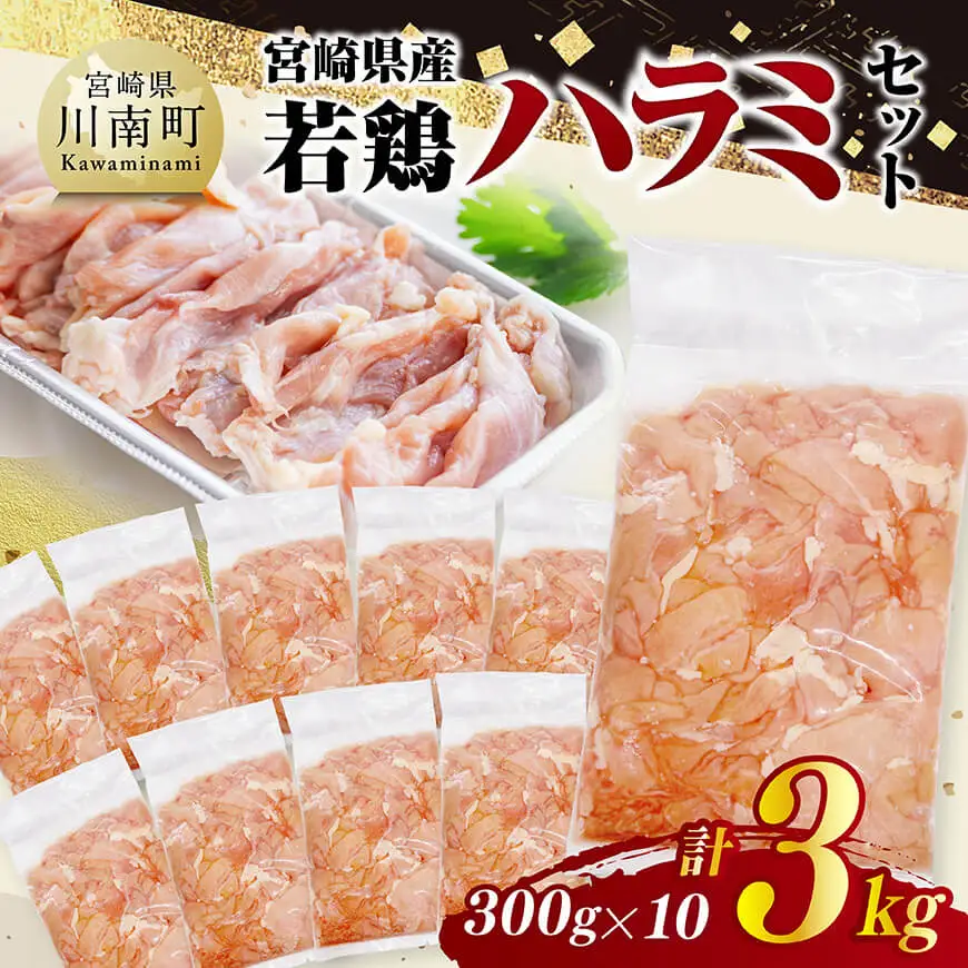 宮崎県産若鶏　ハラミ3kg（300g×10） 【 鶏肉 鶏 ハラミ 肉 宮崎県産 小分け パック 送料無料 】