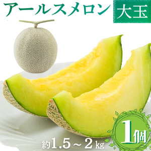 メロンの森　アールスメロン（マスクメロン）1個入り（約1.5kg～2kg）
