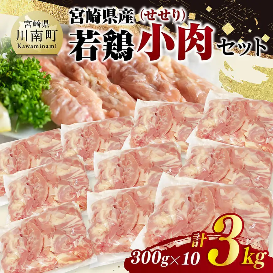 宮崎県産若鶏　小肉(せせり)3㎏（300g×10） 【 鶏肉 鶏 小肉 せせり 肉 宮崎県産 小分け パック 送料無料 】