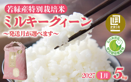 【先行予約】ミルキークイーン 5kg 【2027年1月発送】/ 令和8年産 白米 精米