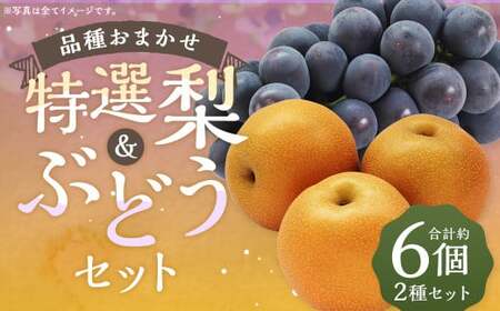数量限定 よらん野 特選 梨 と ぶどう セット（品種おまかせ） 【2026年8月上旬～9月下旬発送】 幸水 豊水 新興 葡萄 巨峰 ピオーネ 果物 フルーツ