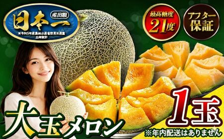 来年2026年先行予約！メロン めろん 最高糖度21度！奇跡の クインシーメロン 1玉 赤肉 人気 おすすめ クインシー 甘い 濃厚 高糖度 自家栽培 メロン 贈答用 贈り物 プレゼント 送料無料 片岡農園 クレストファーム 茨城県 鉾田市