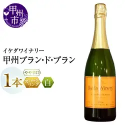 ワイン イケダワイナリー 甲州 ブラン・ド・ブラン（MG）A09-481