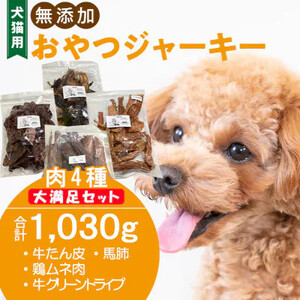 【大満足セット】犬猫用 無添加おやつジャーキー 肉4種詰め合わせ 牛たん皮・馬肺・鶏ムネ肉・牛グリーントライプ 総量1030g［143O26］