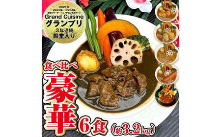 冷凍 スープカレー 豪華！ 食べ比べ 6食 セット 計約3.2kg ／ ビーフ エビ チキン キーマ ウインナー 薬膳 カレー レトルトカレー レトルト食品 詰め合わせ