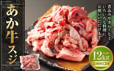 【12ヶ月定期便】あか牛スジ 約1kg 計約12kg 牛スジ 熊本 熊本県産 赤牛 あか牛 牛肉 ブランド 肉 牛 お肉 ヘルシー すじ 牛スジ 牛筋 定期便 熊本県 西原村 冷凍
