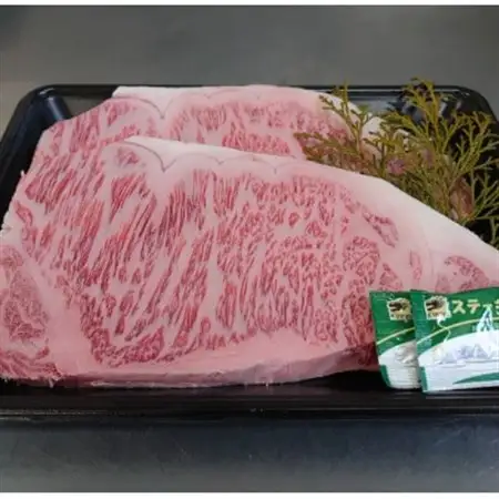 国産黒毛和牛サーロインステーキ 500g【配送不可地域：離島】【1607975】