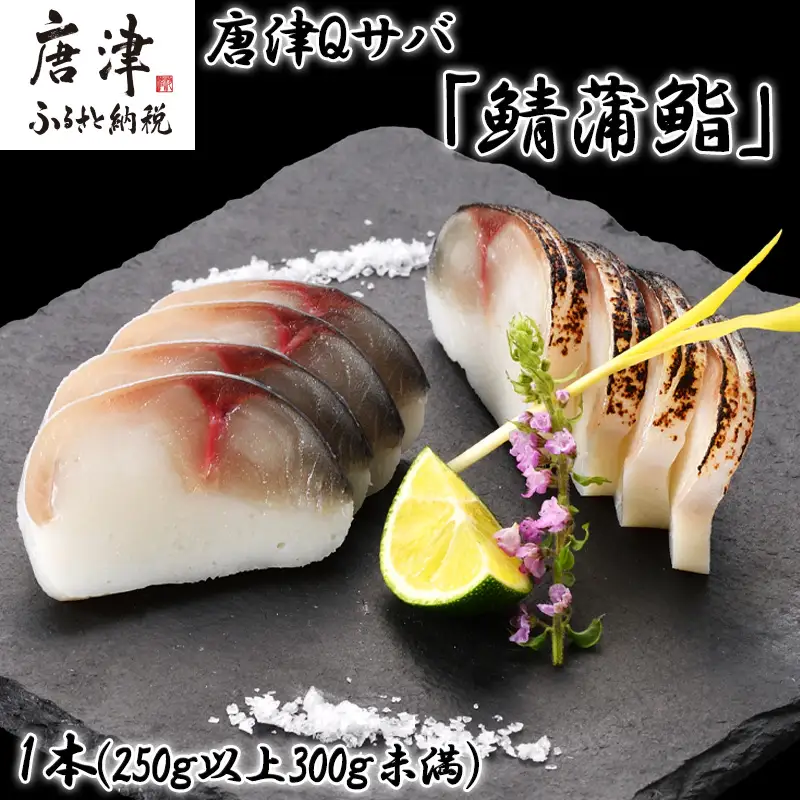 生の新食感 唐津Qサバ「鯖蒲鮨」1本(250g以上～300g未満) さば 蒲鉾 かまぼこ おつまみ ギフト 鯖 サバ 唐津 Qサバ 鯖鮨 呼福 大志 水産 魚 海鮮 水産加工