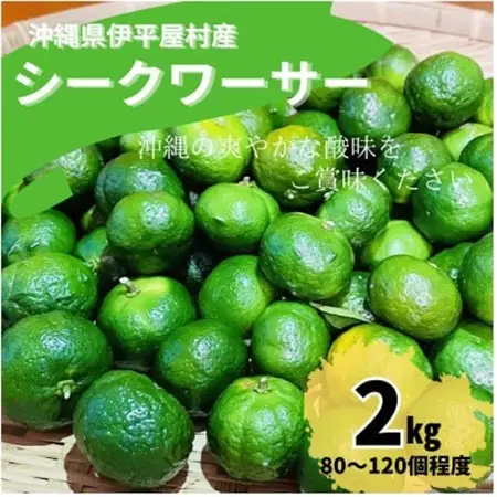 青シークワーサー 伊平屋村産 2kg【1551907】