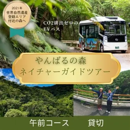 【1ヶ月前予約必須】やんばるの森ネイチャーガイドEVバスツアー 午前コース 貸切(最大16名乗車可能【1606966】