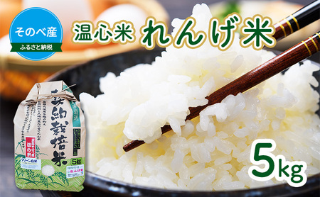 米 コシヒカリ れんげ米 5kg ×1袋 そのべ産 温心米 2025年度産 お米 単一原料米 こしひかり 丹波 精米 白米 こめ コメ 京都 