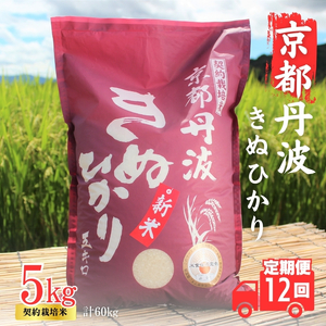 【12カ月定期便】令和7年産 京都丹波産 きぬひかり 5kg 合計60kg 白米 精米 お米 こめ コメ キヌヒカリ 精米したて 特A 特A米 令和7年 ご飯 ごはん 12回 1年 お楽しみ 京都 京都府 南丹市