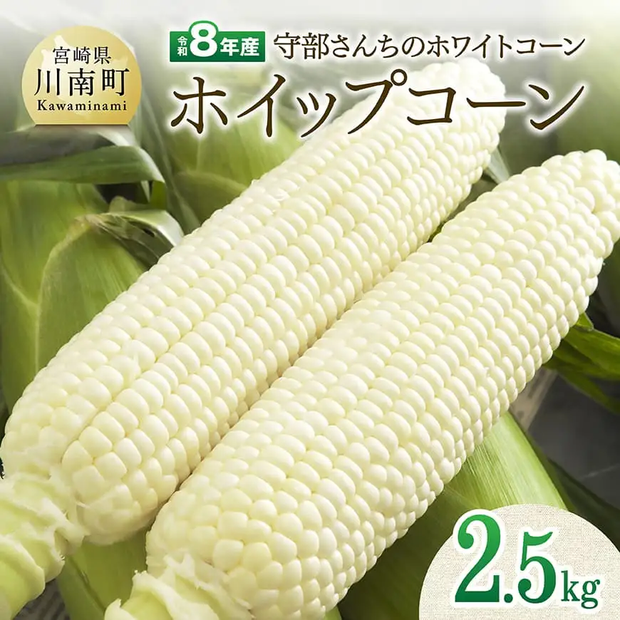 【令和8年発送】宮崎県産とうもろこし　守部さんちのホワイトコーン「ホイップコーン」2.5kg 【 とうもろこし ホワイトコーン トウモロコシ ホイップコーン 令和8年発送 先行予約 数量限定 期間限定 】