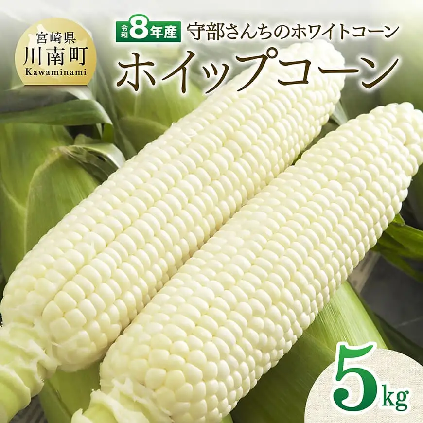 【令和8年発送】宮崎県産とうもろこし　守部さんちのホワイトコーン「ホイップコーン」5kg 【 とうもろこし ホワイトコーン トウモロコシ ホイップコーン 令和8年発送 先行予約 数量限定 期間限定 】